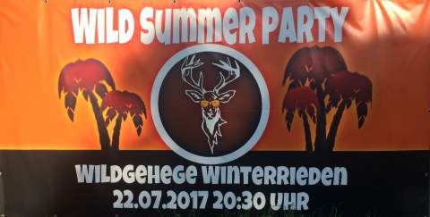 Wild Summer Party